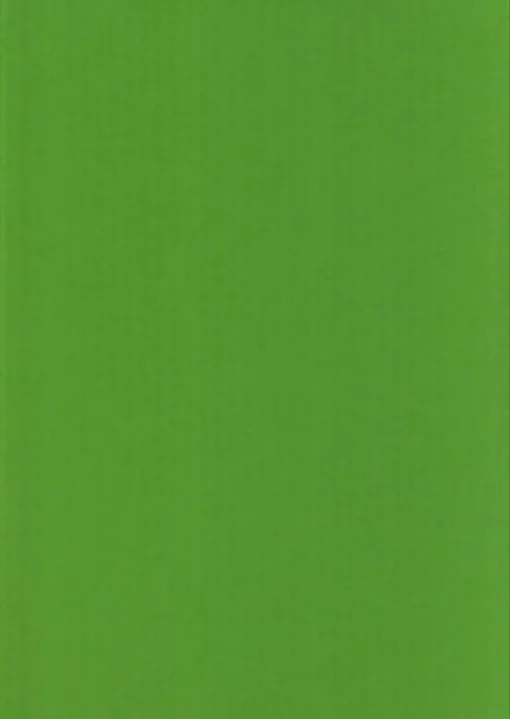 Karto Kartonki A4 220Gsm Kirkkaan Vihrea 5Ark/Pss