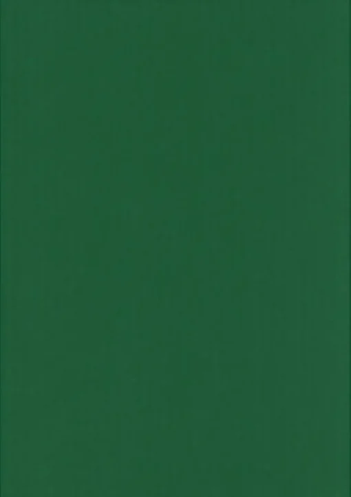 Karto Kartonki Ruohon Vihrea 50X70Cm 220Gsm 5Ark/Pss