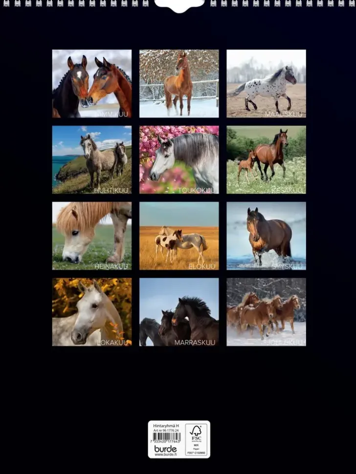 Burde Seinakalenteri 2024 Hevoset