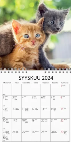 Burde Seinakalenteri 2024 Kissanpennut