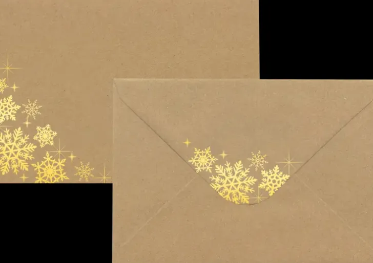C6/10 Foliokirjekuori Lumihiutale Kulta, Uusio