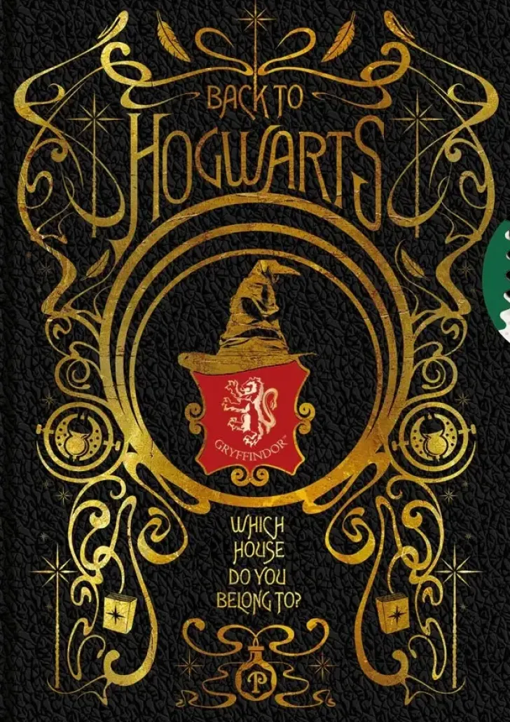 Harry Potter Onnenpyora Kierremuistikirja