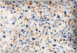 Iittala Oiva Toikka Collection Lautanen A5 15X21Cm Helle Sini-Ruskea