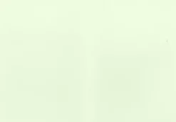 J.K. Primeco 2-Os Helmiaiskortti Vaaleanvihrea 10Kpl