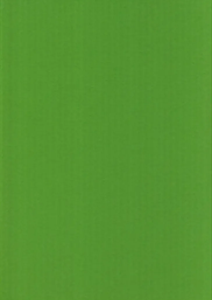 Karto Kartonki A4 220Gsm Kirkkaan Vihrea 5Ark/Pss