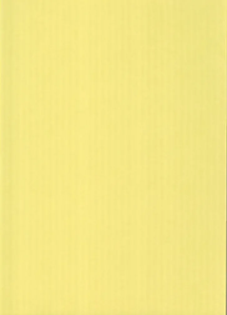 Karto Kartonki Vaaleankeltainen A4 220Gsm 5Ark/Pss