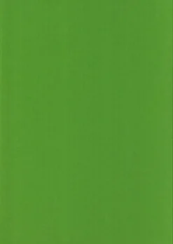 Karto Kortti Kirkkaan Vihrea 10X15Cm 220Gsm 10Kpl/Pkt