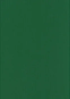 Karto Kortti Ruohonvihrea 10X15Cm 220Gsm 10Kpl/Pss