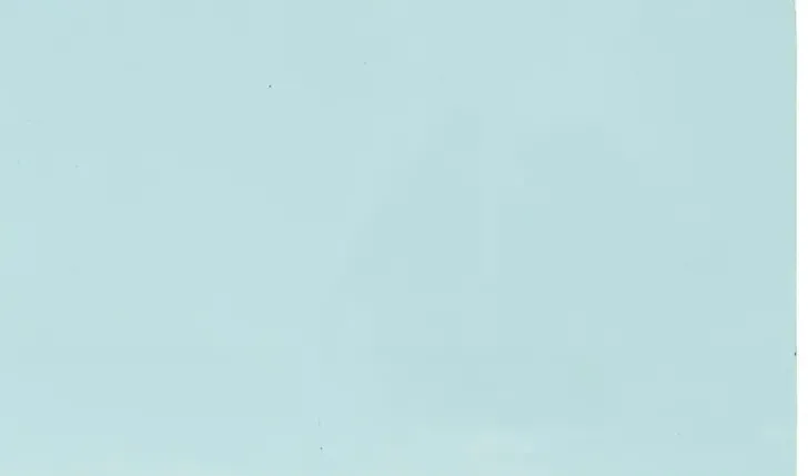 Memoris Precious Muistilappu Pastelli 75X125Mm 100Kpl