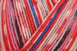 Regia Design Line Arne & Carlos Lofoten Color Sukkalanka 4 Saikeinen 100G