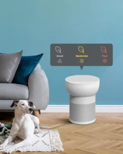 Tcl Breeva A2Ww Ilmanpuhdistin